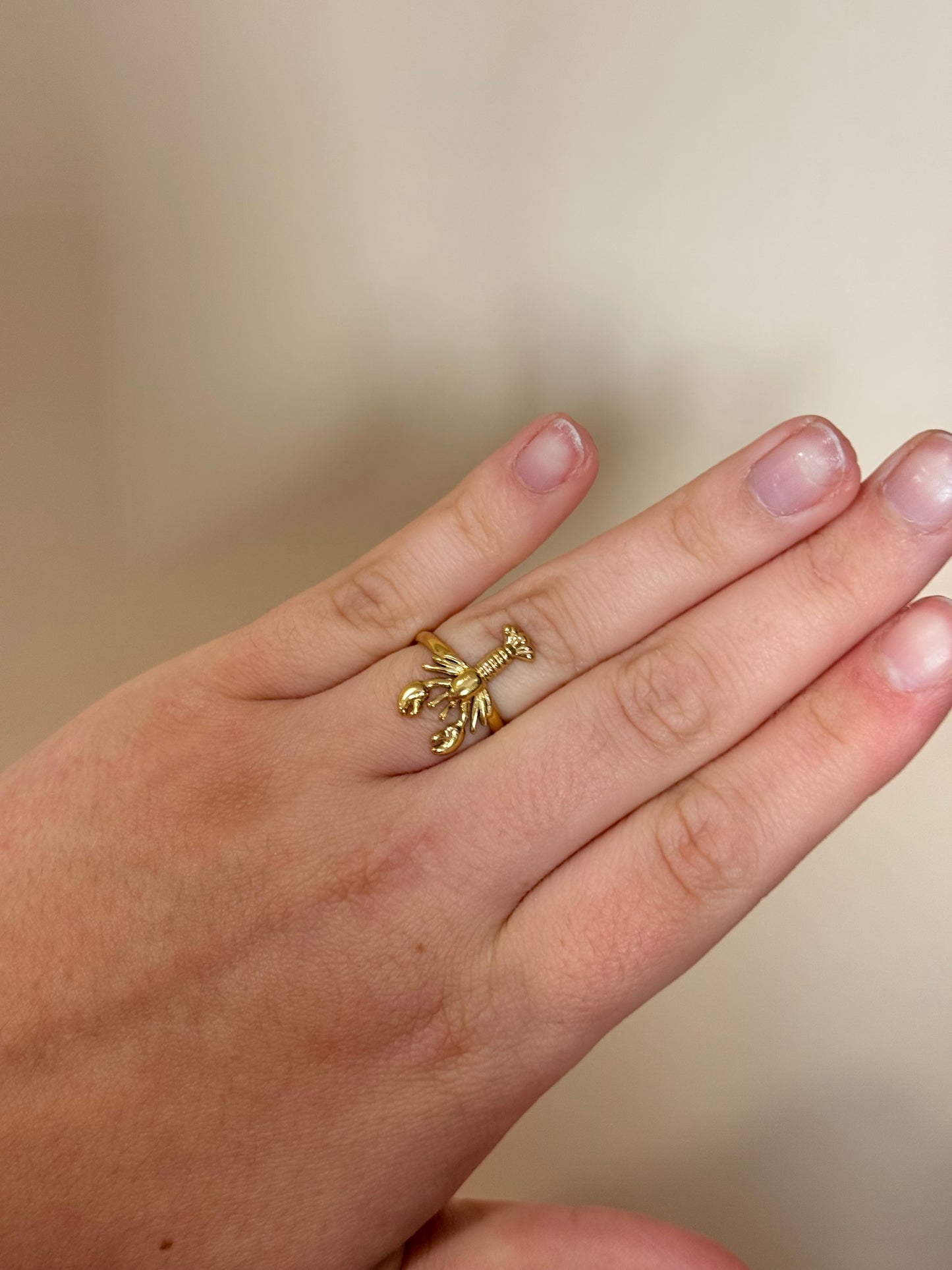 bague homard